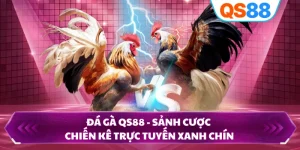 Đá Gà QS88 - Sảnh Cược Chiến Kê Trực Tuyến Xanh Chín