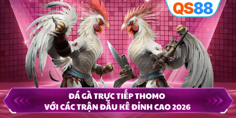 Đá gà trực tiếp Thomo với các trận đấu kê đỉnh cao 2026